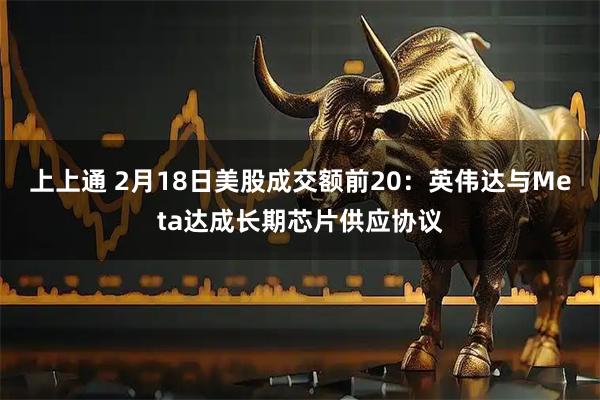 上上通 2月18日美股成交额前20：英伟达与Meta达成长期芯片供应协议