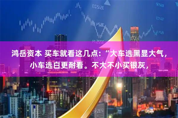鸿岳资本 买车就看这几点: “大车选黑显大气，小车选白更耐看。不大不小买银灰，