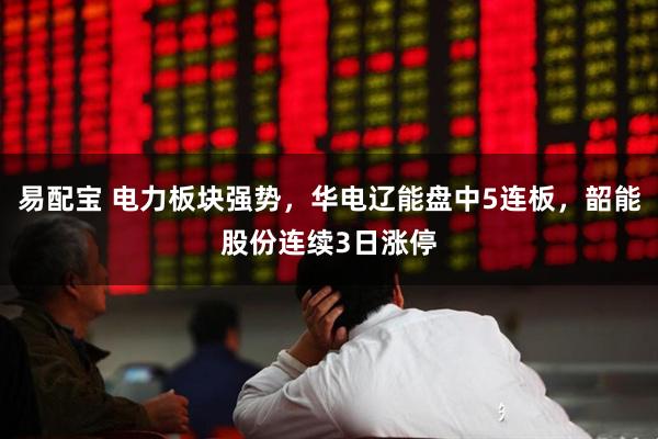 易配宝 电力板块强势，华电辽能盘中5连板，韶能股份连续3日涨停