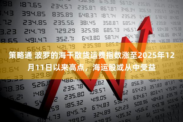 策略通 波罗的海干散货运费指数涨至2025年12月11日以来高点，海运股或从中受益