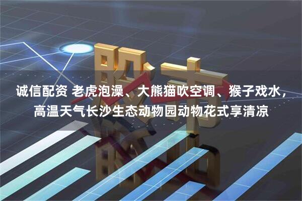 诚信配资 老虎泡澡、大熊猫吹空调、猴子戏水,高温天气长沙生态动物园动物花式享清凉