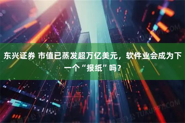 东兴证券 市值已蒸发超万亿美元，软件业会成为下一个“报纸”吗？