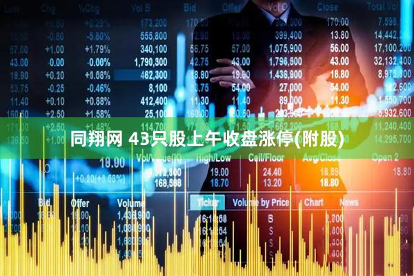 同翔网 43只股上午收盘涨停(附股)