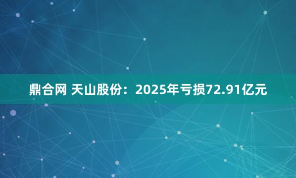 鼎合网 天山股份：2025年亏损72.91亿元