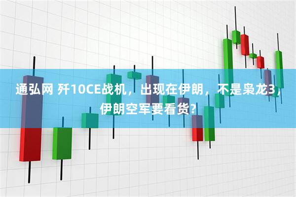 通弘网 歼10CE战机，出现在伊朗，不是枭龙3，伊朗空军要看货？