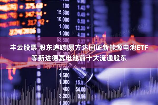 丰云股票 股东追踪|易方达国证新能源电池ETF等新进德赛电池前十大流通股东