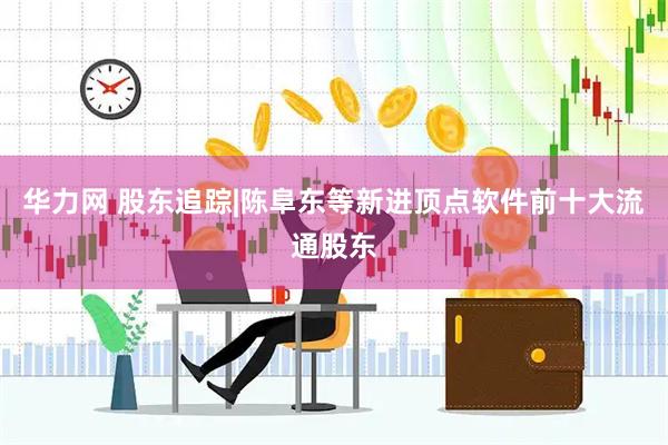 华力网 股东追踪|陈阜东等新进顶点软件前十大流通股东