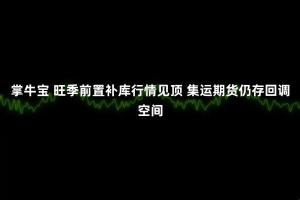 掌牛宝 旺季前置补库行情见顶 集运期货仍存回调空间